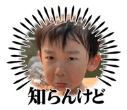 787690104