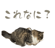 787691944