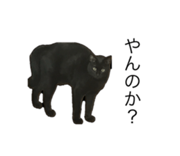 787693775