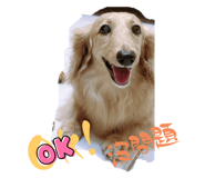 787698065