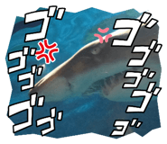 787701517