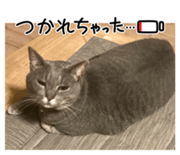 787701904