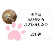 787713177