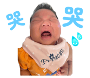 787715491