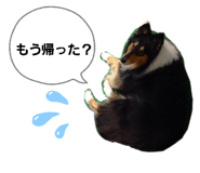 787720044