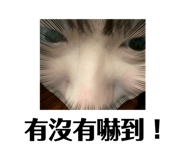 787740873
