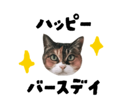 787745016