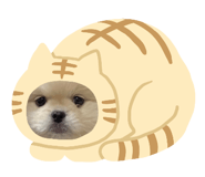 787745883