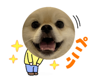 787745886