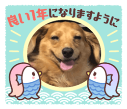 787763448