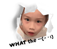 787766557