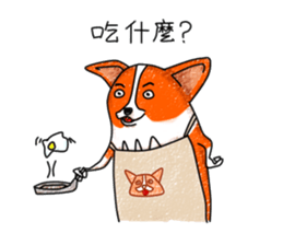 7877837