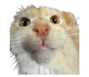 787784266