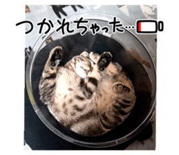 787787640