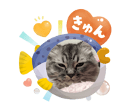 787795841