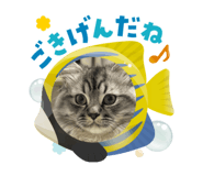 787795845