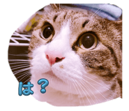 787799427