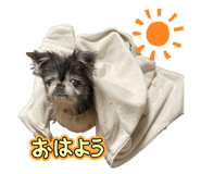 787802110