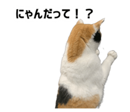 787803336