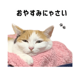787803340