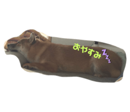 787805076