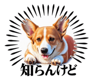 787808036