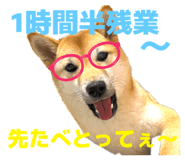 787812074