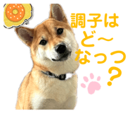 787812075