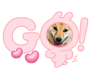 787812080