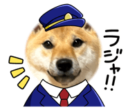 787812081
