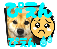 787812082