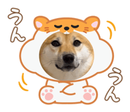 787812084