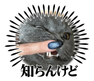 787812570