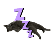 787827681