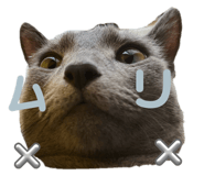 787827694