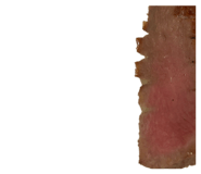 787831838