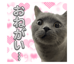 787834340