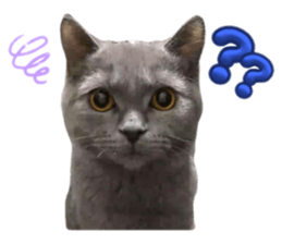 787834343