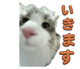 787834351