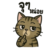787836105
