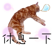 787837116