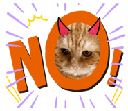 787837126