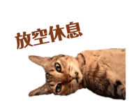 787839777