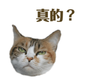 787839779