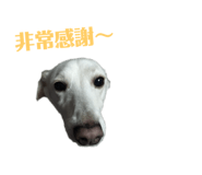 787839780