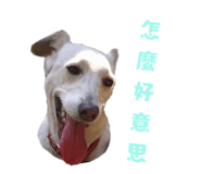 787839781