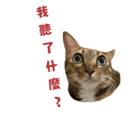 787839783