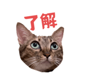 787839784