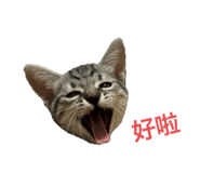 787839787