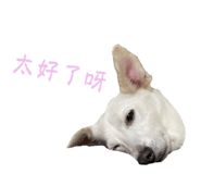 787839791